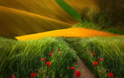 fondos de pantalla de paisajes