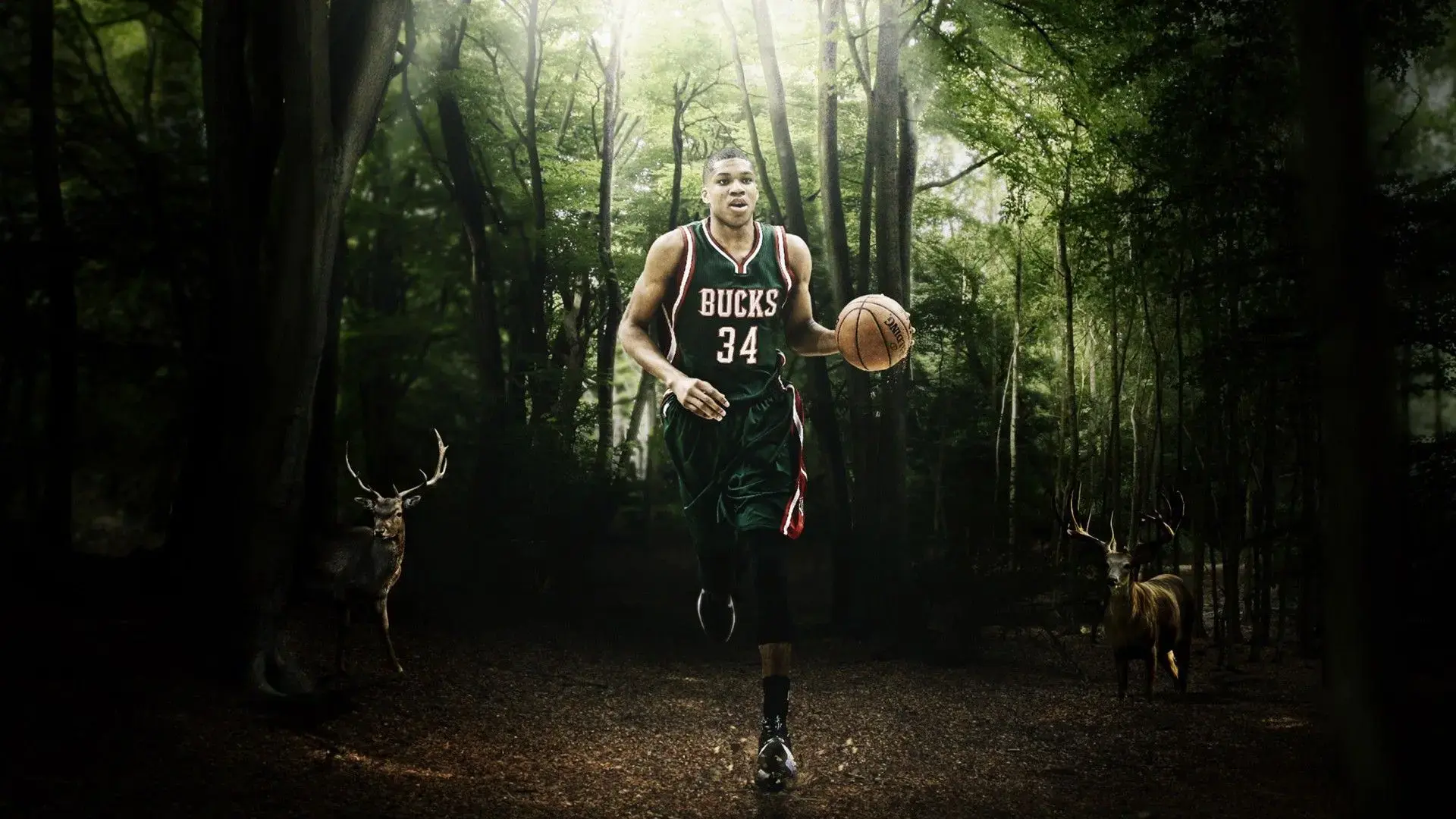 Fondos de Giannis Antetokounmpo