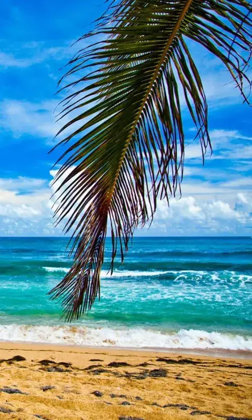 fondos pantalla playas