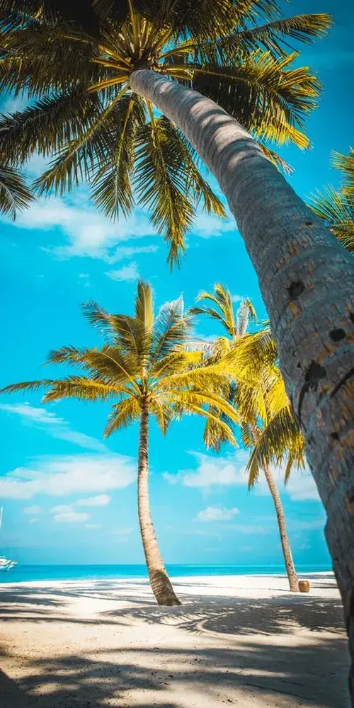 fondos pantalla playas