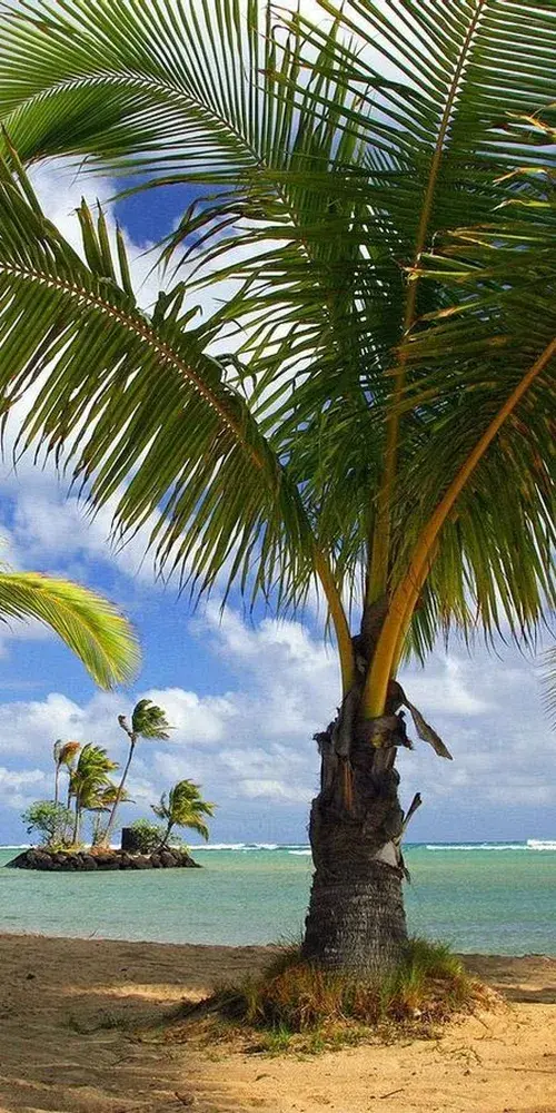 fondos pantalla playas