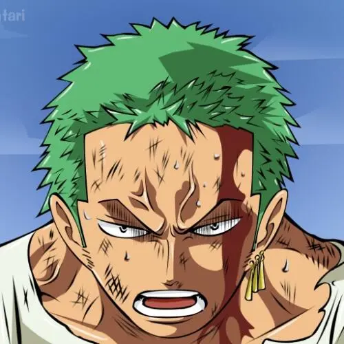 Zoro PFP
